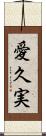愛久実 Scroll