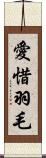 愛惜羽毛 Scroll