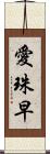 愛珠早 Scroll