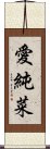 愛純菜 Scroll