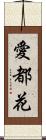 愛都花 Scroll
