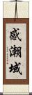 感潮域 Scroll