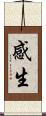 感生 Scroll
