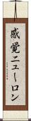 感覚ニューロン Scroll