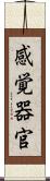 感覚器官 Scroll
