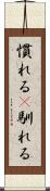 慣れる(P) Scroll