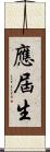 應屆生 Scroll