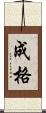 成格 Scroll