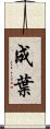 成葉 Scroll