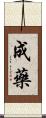 成藥 Scroll