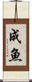成魚 Scroll