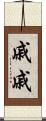 戚戚 Scroll