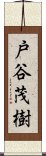 戸谷茂樹 Scroll