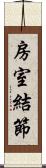 房室結節 Scroll