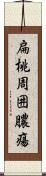 扁桃周囲膿瘍 Scroll