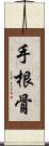 手根骨 Scroll