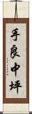 手良中坪 Scroll