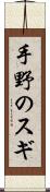 手野のスギ Scroll