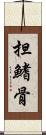 担鰭骨 Scroll