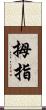 拇指 Scroll