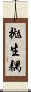 拋生耦 Scroll