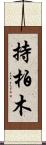 持柏木 Scroll