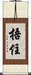 捂住 Scroll