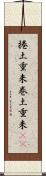 捲土重来 Scroll