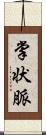 掌状脈 Scroll