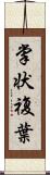 掌状複葉 Scroll