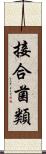 接合菌類 Scroll