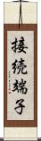 接続端子 Scroll