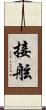 接舷 Scroll