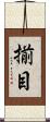 揃目 Scroll