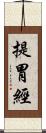 提胃經 Scroll