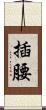 插腰 Scroll