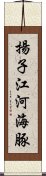 揚子江河海豚 Scroll