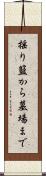 揺り籃から墓場まで Scroll
