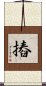 摏 Scroll