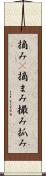 摘み(P) Scroll