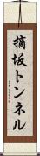 摘坂トンネル Scroll