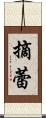 摘蕾 Scroll