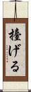 擡げる Scroll