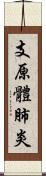 支原體肺炎 Scroll