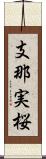 支那実桜 Scroll