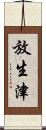 放生津 Scroll