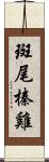 斑尾榛雞 Scroll