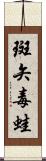 斑矢毒蛙 Scroll