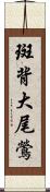 斑背大尾鶯 Scroll