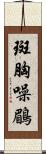 斑胸噪鶥 Scroll